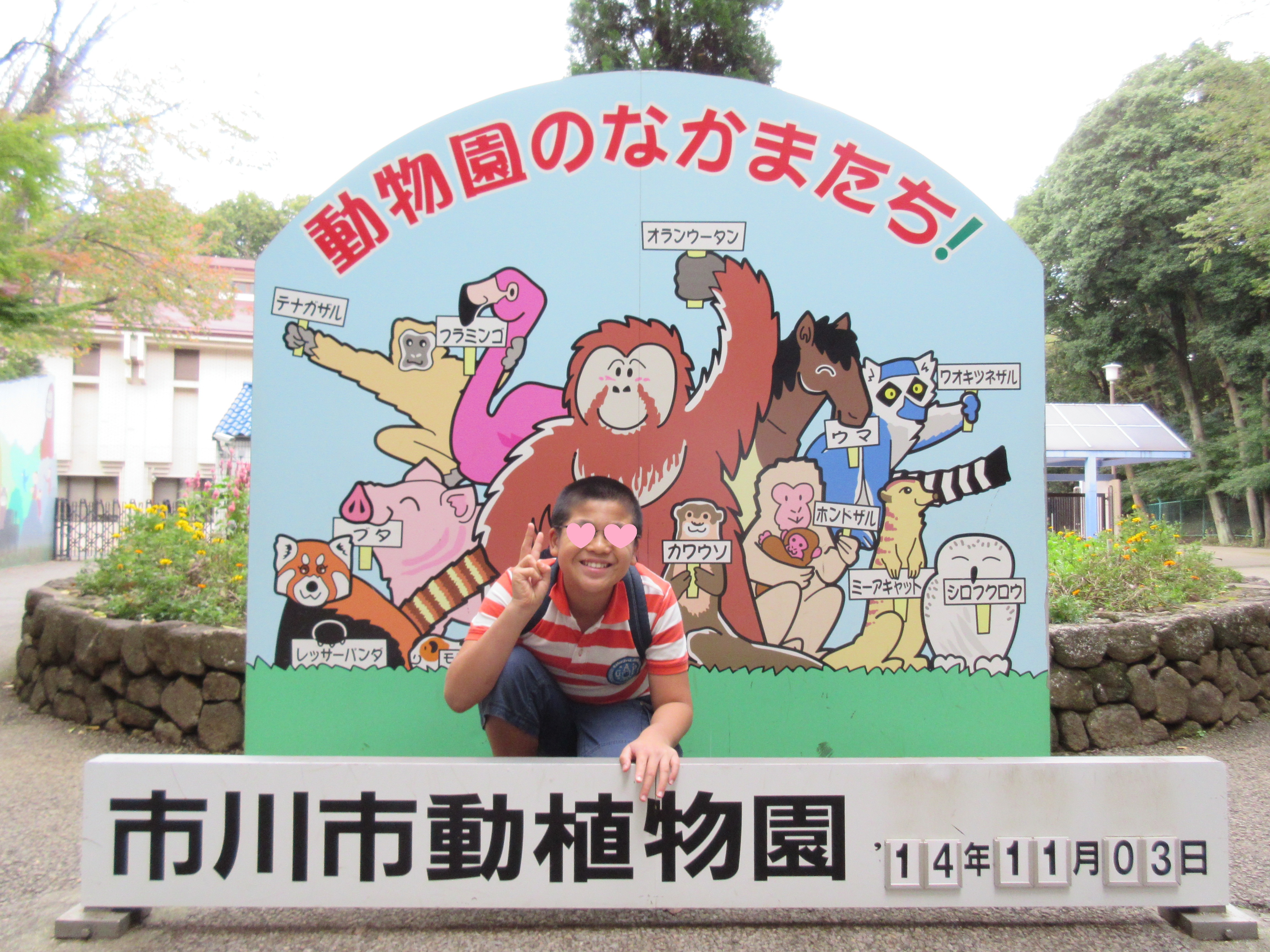 動物園 動物園