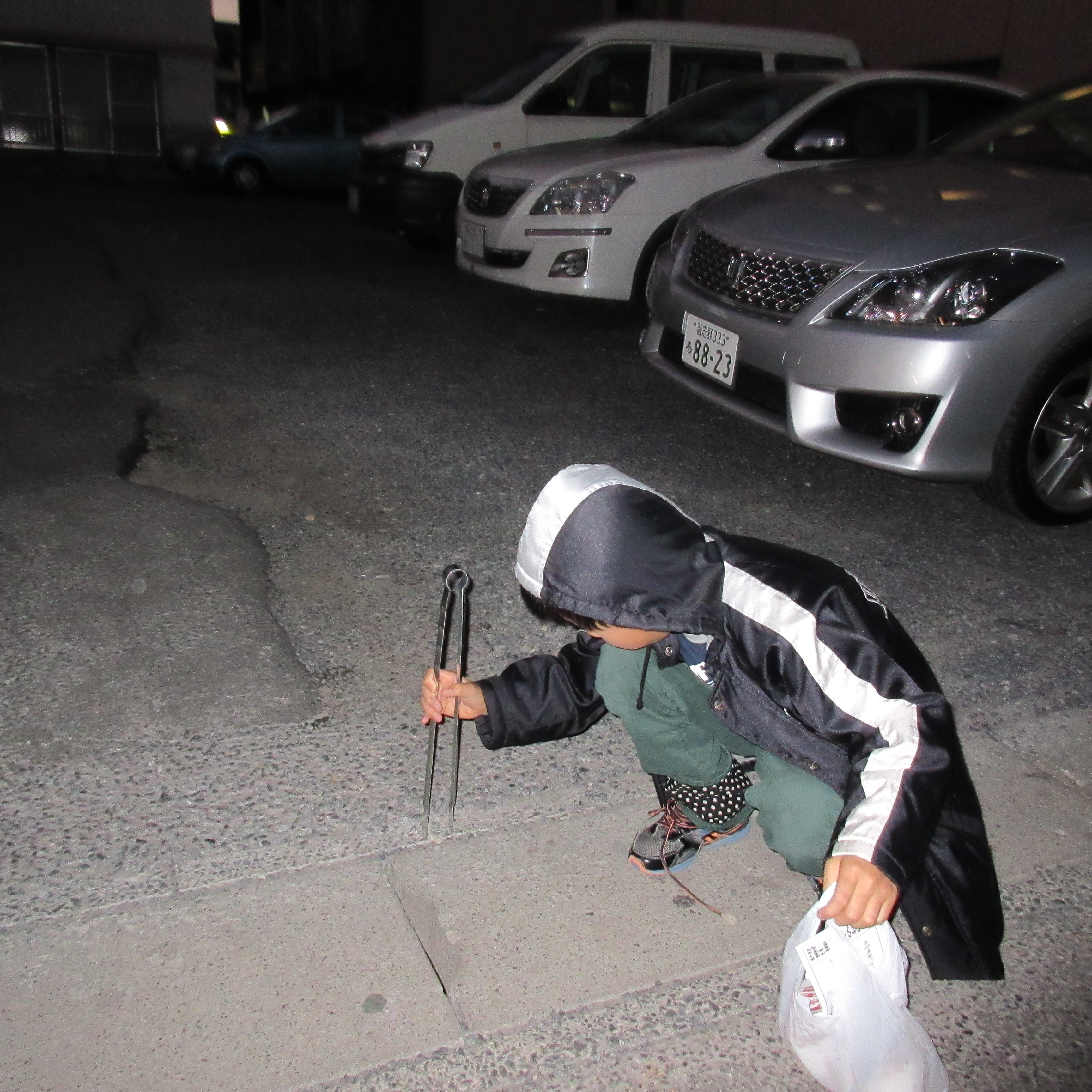 gomihiroi2 gomihiroi2