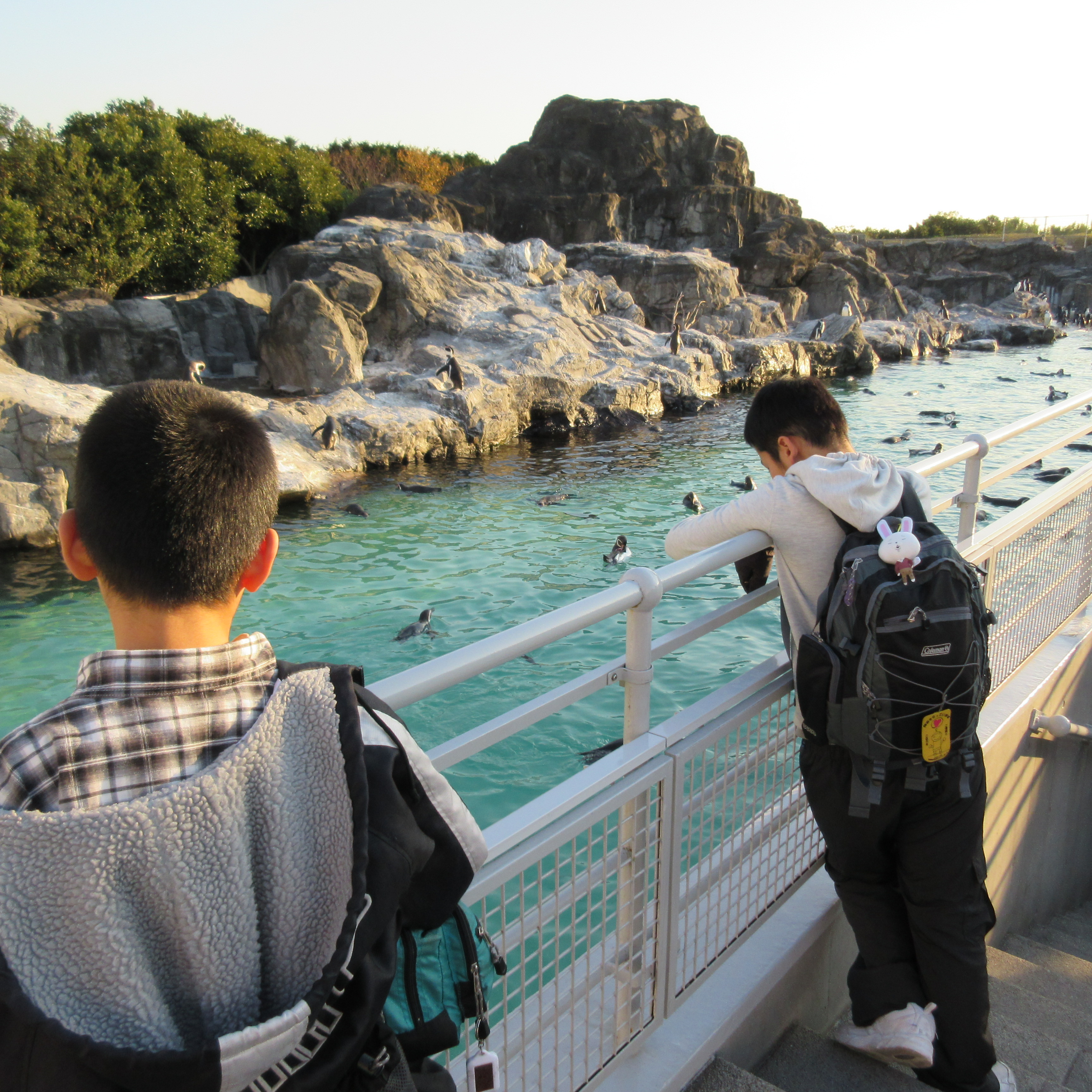 水族館2 水族館2