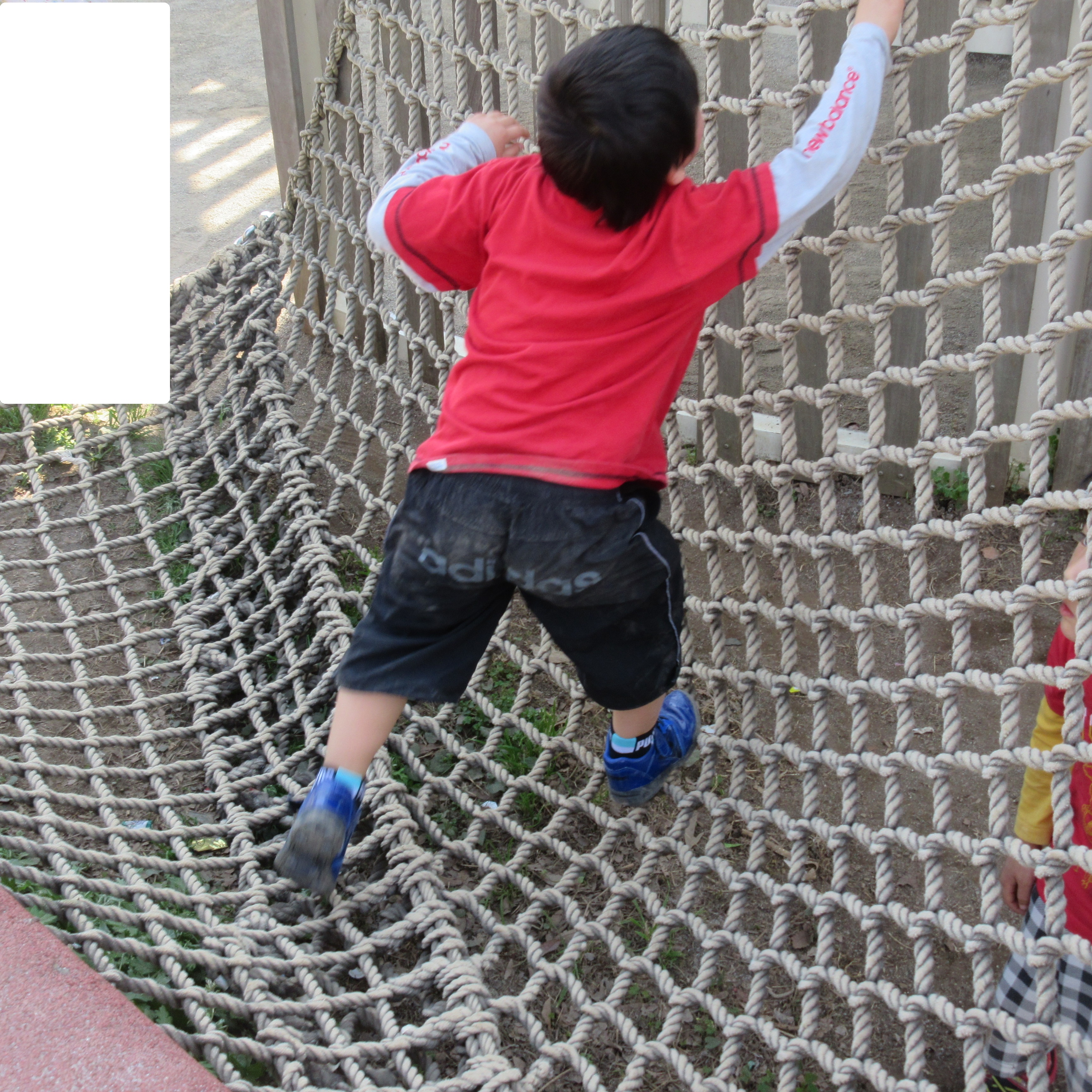 大島小松川公園2 大島小松川公園2